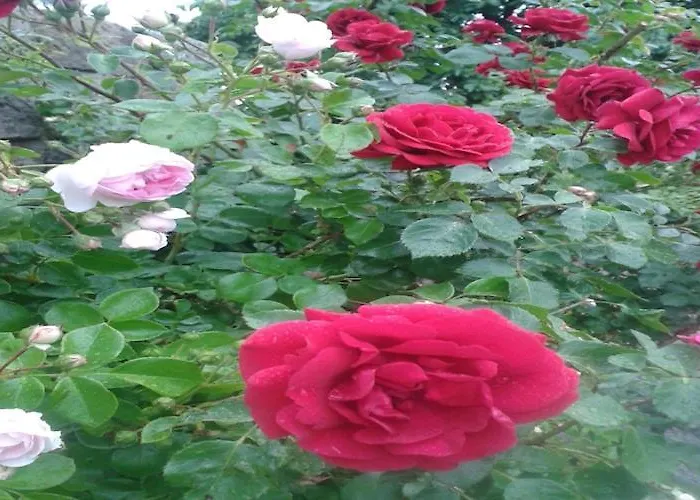 Апартаменты Familienspass In *