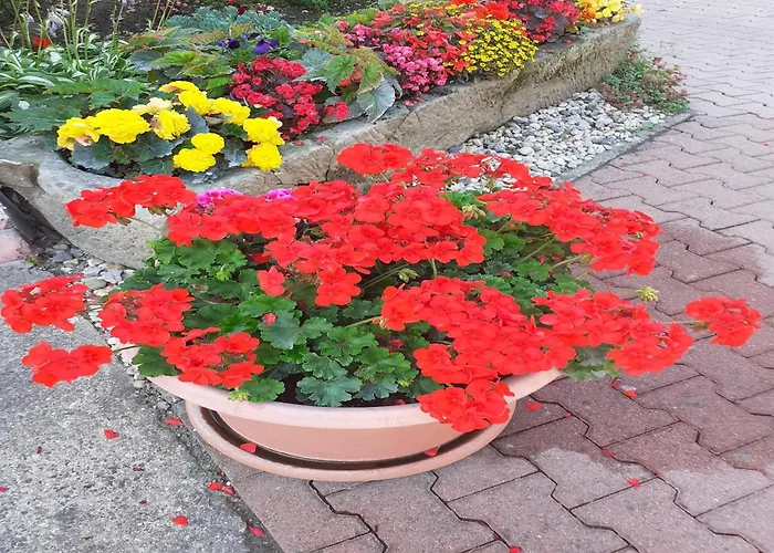 Апартаменты Familienspass In